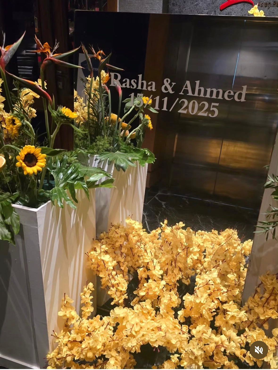 bd30106b-efed-4096-99c3-278e0b5dc96e