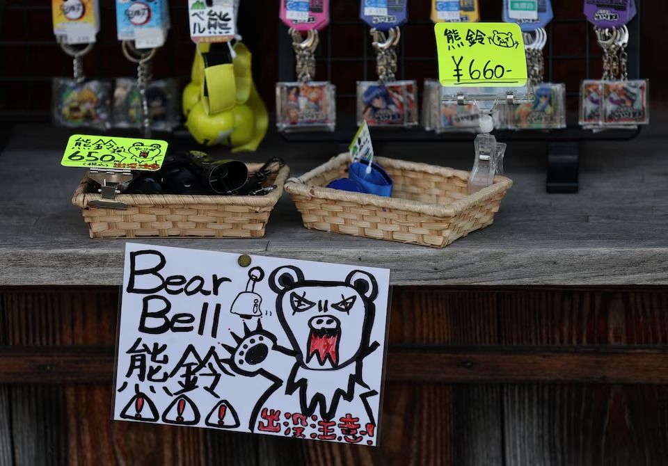 تحذير من هجمات الدببة (أ ف ب).