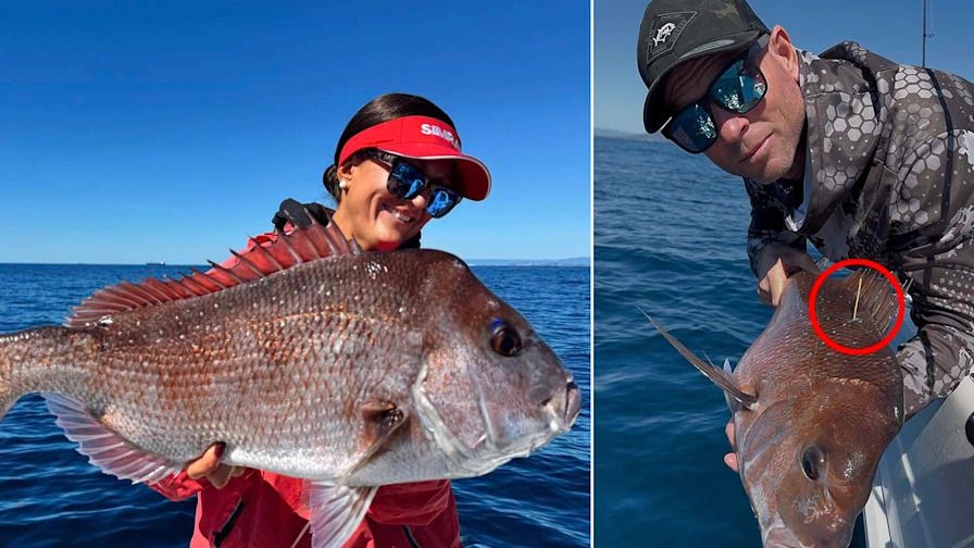 Fishing Influencer Found Dead Several Days After Issuing Mayday Call, Family Says - Yahoo