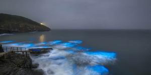 البحر المتلألئ ليلاً: ظاهرة Milky Seas المضيئة - المصدر 24