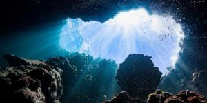 العلماء يكتشفون "كرة الموت" المفترسة في أعماق المحيط الجنوبي - المصدر 24