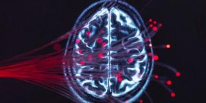 ابتكار ثوري يتيح قراءة الأفكار البشرية عبر تحليل نشاط الدماغ - المصدر 24