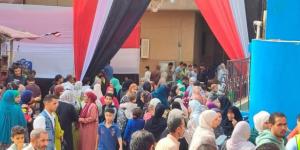 مشاركة واسعة في لجان المنيا دعمًا لمرشحي حزب الجبهة الوطنية بانتخابات مجلس النواب 2025 - المصدر 24