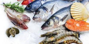 أسعار الأسماك والجمبري اليوم الثلاثاء 11 نوفمبر 2025 - المصدر 24