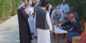 إقبال وحشود بلجان مطروح ومساعدة كبار السن في اليوم الأخير لانتخابات مجلس النواب - المصدر 24