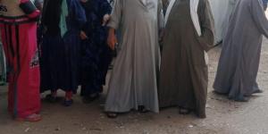 توافد الناخبين على لجان الاقتراع بالمنيا في اليوم الأخير لانتخابات مجلس النواب - المصدر 24