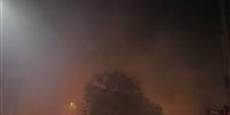 النيران محاوطة المكان.. تفاصيل حريق هائل بحديقة المتحف الزراعي في الدقي - المصدر 24