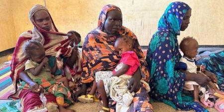 هيئة الأمم المتحدة للمرأة: السودان تحول إلى أخطر الأزمات في العالم بالنسبة للنساء والفتيات - المصدر 24