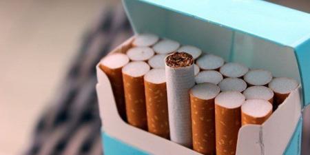 أسعار السجائر في مصر اليوم.. الثلاثاء 11 نوفمبر 2025 - المصدر 24