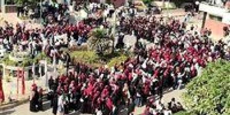 برلماني: مشاركة المصريين بانتخابات النواب تعكس وعيًا سياسيًا ورسالة دعم لمؤسسات الدولة - المصدر 24