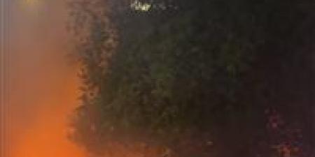 التحريات تكشف التفاصيل الكاملة لـ حريق حديقة المتحف الزراعي بالدقي - المصدر 24