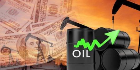 ارتفاع سعر برميل النفط الكويتي 38 سنتا ليبلغ 10ر66 دولار - المصدر 24