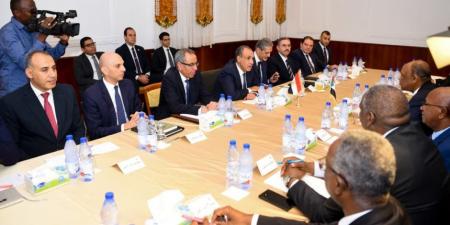 مشاورات مصرية - سودانية لبحث العلاقات الثنائية وتطورات الأزمة السودانية - المصدر 24