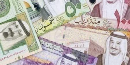تراجع طفيف لسعر صرف الريال السعودى بالبنوك المصرية اليوم 11-11-2025 - المصدر 24