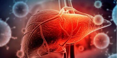 الصحة المصرية تُطلق خطة استدامة القضاء على الالتهاب الكبدي الفيروسي (2025-2030) - المصدر 24