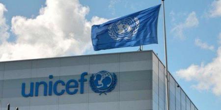 "يونيسف" تحذر من عرقلة الاحتلال الإسرائيلي دخول المواد الحيوية المنقذة لحياة أطفال غزة - المصدر 24