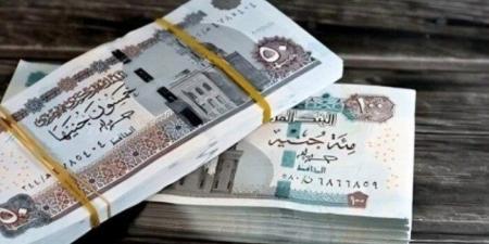 ما هو موعد صرف مرتبات شهر نوفمبر 2025؟ - المصدر 24