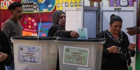 نتائج الحصر العددي النهائية: ثلاثي التحالف الوطني يتصدر أصوات الدائرة الثانية «سمالوط ومطاي» - المصدر 24