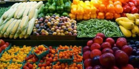 الجوافة بكام؟.. أسعار الخضار والفاكهة اليوم الأربعاء 12 نوفمبر 2025 - المصدر 24