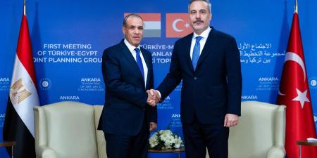 وزير الخارجية: القيادة السياسية المصرية حريصة على تعزيز التعاون المشترك مع تركيا في مختلف المجالات - المصدر 24