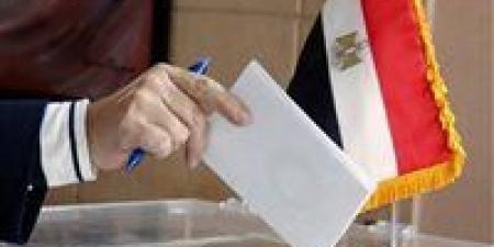 حصر عددي.. إعادة منتظرة بين مرشح حماة الوطن ومستقل على مقعد الدائرة الأولى بالأقصر - المصدر 24