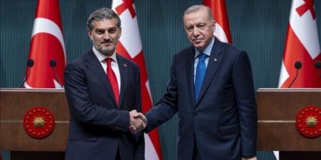 تركيا وجورجيا تبحثان جهود الكشف عن ملابسات تحطم الطائرة المنكوبة - المصدر 24