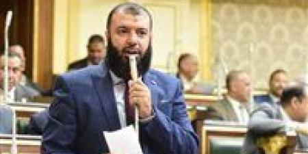 أربعة فائزين من أحزاب مختلفة في انتخابات النواب 2025 بينهم مرشح النور - المصدر 24