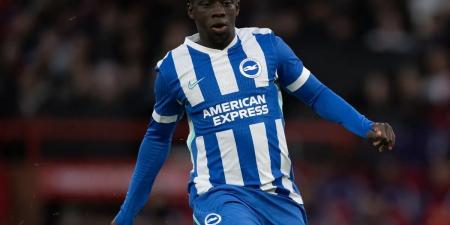 ليفربول يستقر على التعاقد مع نجم إفريقي صاعد لتعويض صلاح - المصدر 24