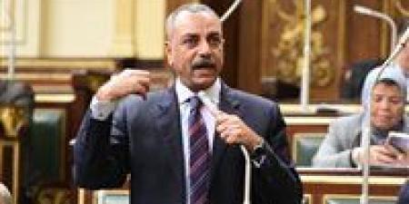 الطماوي: الإجراءات الجنائية نقلة حقيقية في ملف حقوق الإنسان - المصدر 24