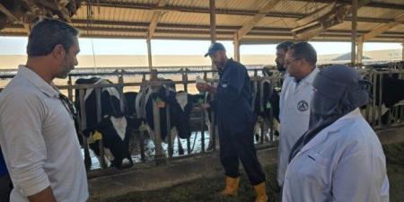 «الزراعة» تُحصّن أكثر من 2.2 مليون رأس ماشية ضمن حملتها القومية حتى الآن - المصدر 24