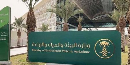 السعودية.. إطلاق أول مدرسة حقلية لتأهيل المزارعين والنحالين ومربي الماشية - المصدر 24