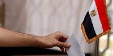 حصر عددي.. إعادة منتظرة على مقعدي دائرة إطسا بمحافظة الفيوم - المصدر 24