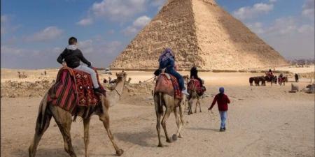 بفضل الاستثمارات وتنوع المقاصد.. نمو غير مسبوق في القطاع السياحي المصري - المصدر 24