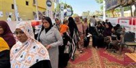 جولة إعادة لـ 4 مترشحين في إمبابة بين المليجى والخولى وعبد القادر والعجوز - المصدر 24