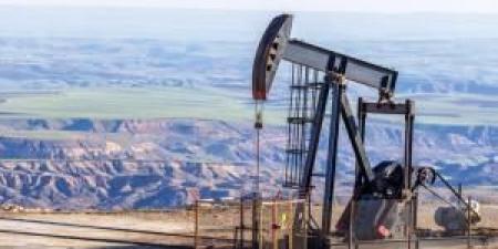 النفط يواصل خسائره - المصدر 24