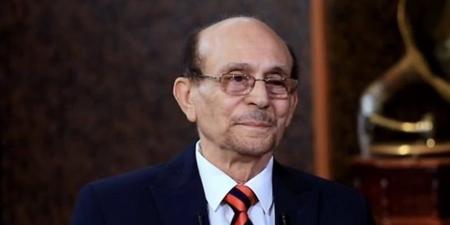 قطة مصرية تقتحم السفارة الألمانية بالقاهرة.. ورد فعل غير متوقع من الموظفين - المصدر 24