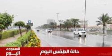 الأرصاد: أمطار رعدية وزخات برد ورياح قوية على 7 مناطق في المملكة اليوم - المصدر 24