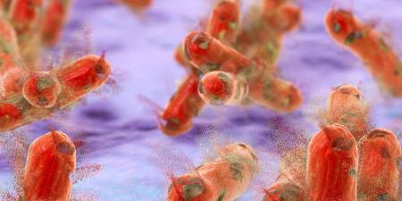 منظمة الصحة العالمية تكشف عن "أخطر الأمراض المعدية فتكا" في العالم - المصدر 24