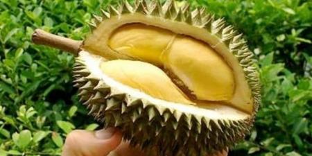 حقائق غذائية غريبة عن الفواكه لم تخطر على بالك - المصدر 24