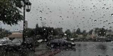 "أول شتوة" .. عجلون الأعلى هطولا بـ 23.7 ملم ثم إربد بـ 14.8 ملم - المصدر 24