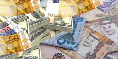 أسعار العملات العربية والأجنبية اليوم الجمعة 14 نوفمبر 2025 - المصدر 24