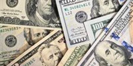 ومن الحظ ما يملأ الجيوب".. أمريكية تفوز بخمسين ألف دولار رغم الخطأ - المصدر 24