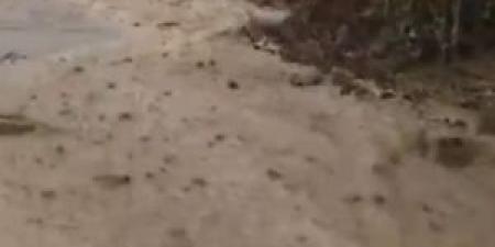 بالفيديو : سيول جراء غزارة الأمطار كفرنجة بمحافظة عجلون - المصدر 24