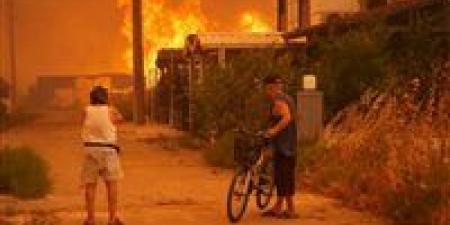 حرائق غابات الجزائر: النيران تلتهم 11 ولاية ونداء عاجل من السلطات - المصدر 24