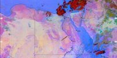 «ليلة رعدية على شمال مصر».. أمطار غزيرة وتحذيرات عاجلة مع تقدم السحب على الدلتا والقاهرة - المصدر 24