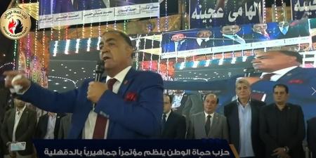 حزب حماة الوطن ينظم مؤتمراً جماهيرياً حاشدا بالدقهلية دعماً لمرشحه بانتخابات مجلس النواب 2025 - المصدر 24