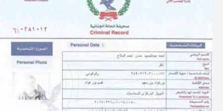 استخراج فيش جنائى مستعجل 2025.. الأسعار والخطوات والأوراق المطلوبة - المصدر 24