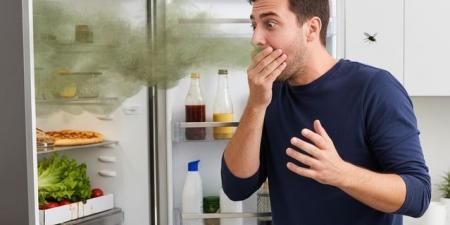 5 Ways to Clean Your Refrigerator of Bad Smells - المصدر 24