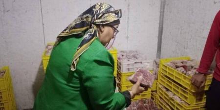 ضبط طن حواوشي مجهول المصدر في حملات تموينية بالقليوبية - المصدر 24