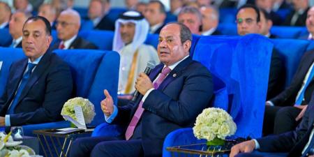 الرئيس السيسي يثمن دعم الشعب المصرى وصلابته فى مواجهة التحديات - المصدر 24
